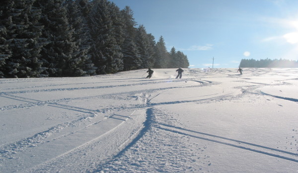 Luggi-Leitner-Lifte-Scheidegg Piste Map